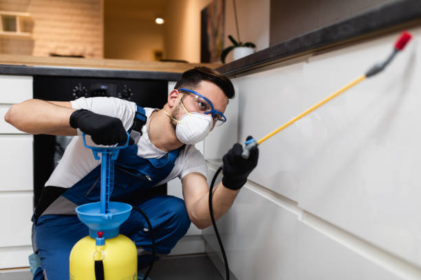 Best Pest Prevention Services  in Dunnavant, AL