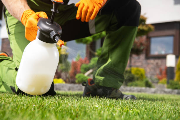 Best Affordable Pest Control Services  in Dunnavant, AL