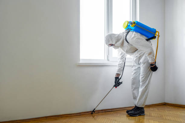 Best Affordable Pest Control Services  in Dunnavant, AL