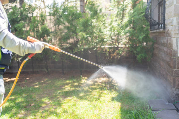Best Pest Inspection Near Me  in Dunnavant, AL