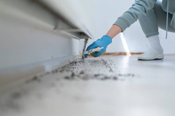 Best Wasp Removal Services  in Dunnavant, AL
